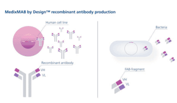 Image: Customized monoclonal antibodies by MedixMAB by Design (Photo courtesy of Medix Biochemica).